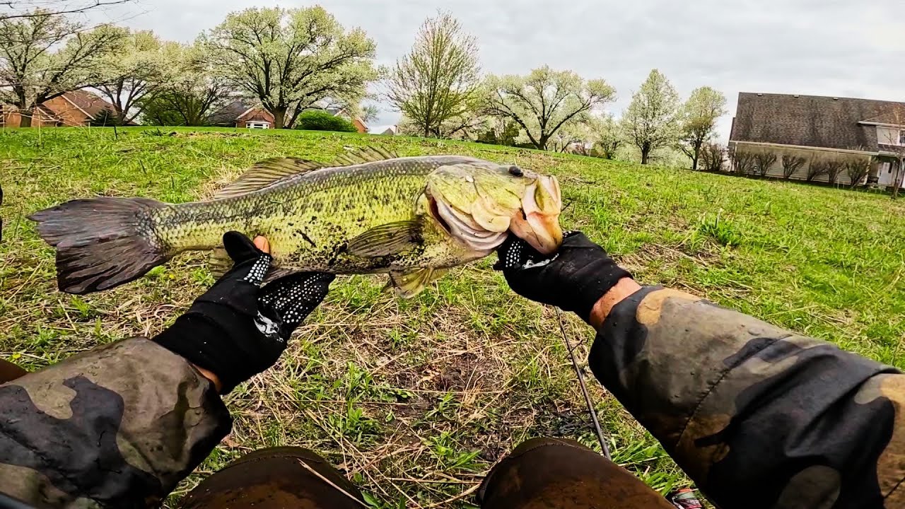 Spring Time Bass Fishing On Beds!