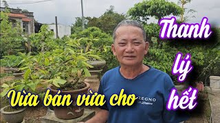 SH.9013. Em bán thanh lý vừa bán vừa tặng những cây còn lại bác nhé. Đth liên hệ 0968.657.029