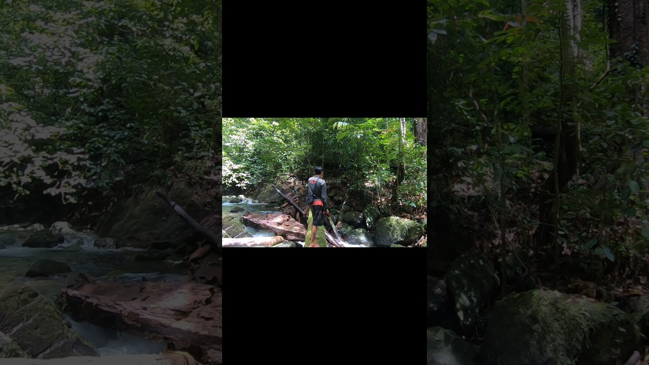 Pesona Alam Kalimantan, Menyusuri Alian Sungai