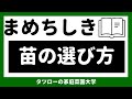 野菜の苗の選び方　豆知識シリーズ 1　[家庭菜園]  トマト・きゅうり・ナス・ピーマン・ししとう