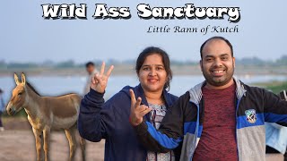 Little Rann of Kutch | Wild Ass Sanctuary | Gujarat Trip Day 2 | Travel Vlogs | Mr and Mrs Kamath