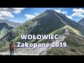 Zakopane 2019 Wołowiec