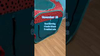 Kitten Cat Tuesday Morning