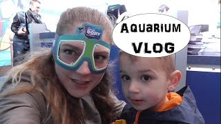 ВЛОГ - ШОТЛАНДИЯ | SeaLife аквариум, еда в Великобритании ВЛОГ - ШОТЛАНДИЯ | SeaLife аквариум, еда в Великобритании