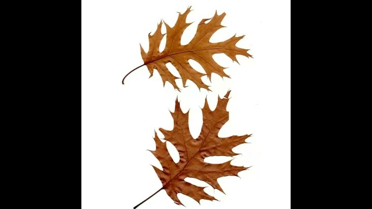 07 Garbage Troll Trash HHB