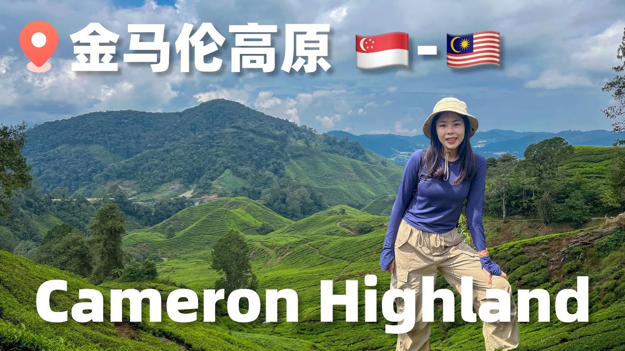 【馬來西亞｜金馬倫】从新加坡搭8小时大巴去金马伦3天2夜 (中转怡保)，逛茶园，吃传统炭烧火锅，徒步Mossy Forest｜金马伦游玩攻略