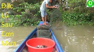379   Đặc Lú Sau Cơn Mưa Đầu Mùa - Bữa Cơm Đạm Bạc | Đất Phương Nam