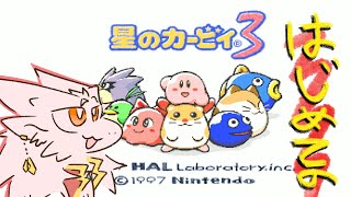 優しいゲームでアクションを練習するドラゴン【星のカービィ3】