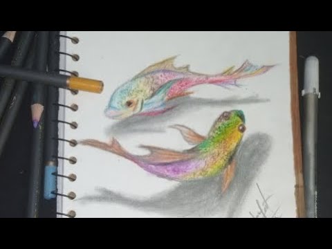 cute and realistic 3D fish drawing/how to draw a cute fish step by step ...