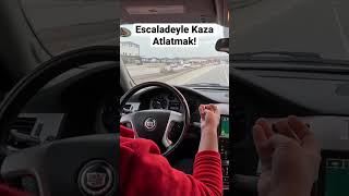 Cadillac Escaladeyle Kaza Atlatmak! Köpek Trafiği Birbirine Kattı!