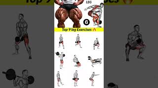 The Absolute Best Leg Workout For Toned Muscles