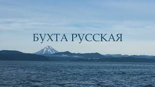 Бухта Русская, Камчатка 2020