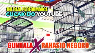 TANDEM : GUNDALA X RAHASIO NEGORO | SOFT LAUNCHING B16 LAMPUNG screenshot 2