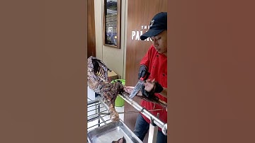 Belanja Di The Palace Lippo Plaza Sidoarjo | Makan Kambing Guling Sepuasnya 🫶