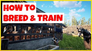 HOW TO BREED AND TRAIN HEAVENLY HORSES | MYTH OF EMPIRES