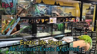 Exotic​ life​ Shop​ (สัตว์เลี้ยง​แนว​ Exotic​ &​ อุปกรณ์)​🦎🐍🐢 Ep.3