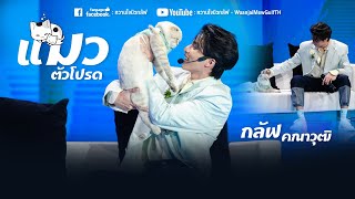 แมวตัวโปรด (Favorite Cat) - กลัฟ คณาวุฒิ【COVER VERSION】