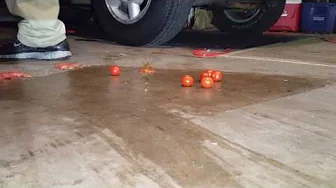 Tomato crush