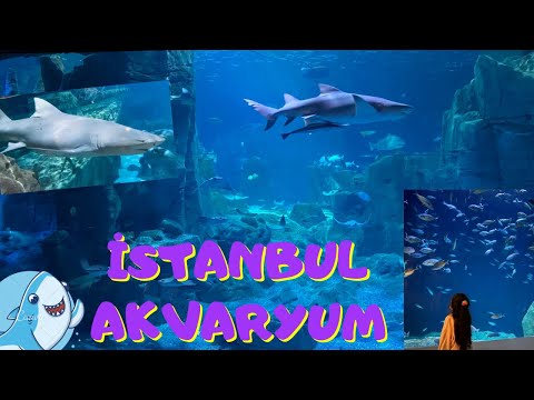 İstanbul Akvaryum Floryada Maceralı Yolculuk,Tamamını Gezdik, Akvaryumun tüm canlıları bu videoda!!!