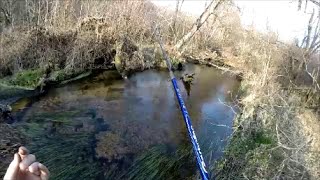 Conseils et techniques pour la pêche de la truite au toc