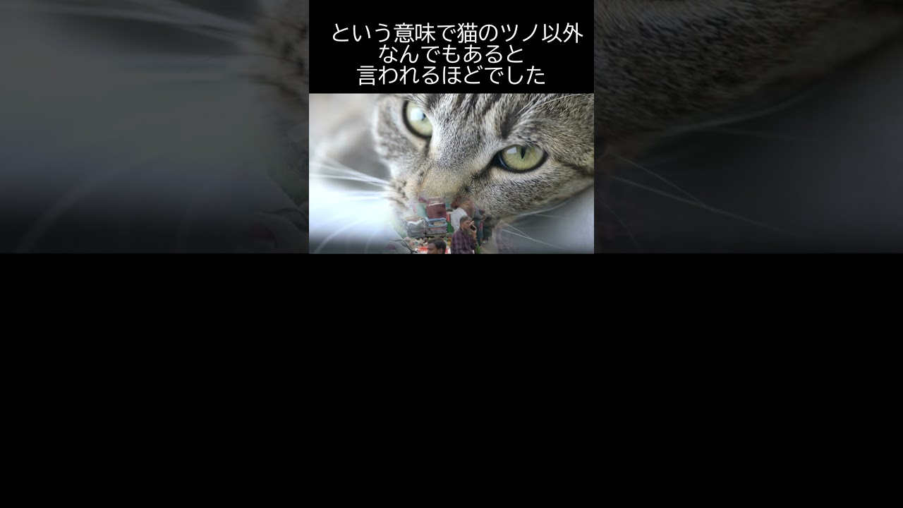 北朝鮮の市場発展と商売の実態：苦難の行軍時代の生活と賄賂