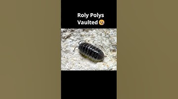 EARTH PATCH NOTES 🚨*6/19*