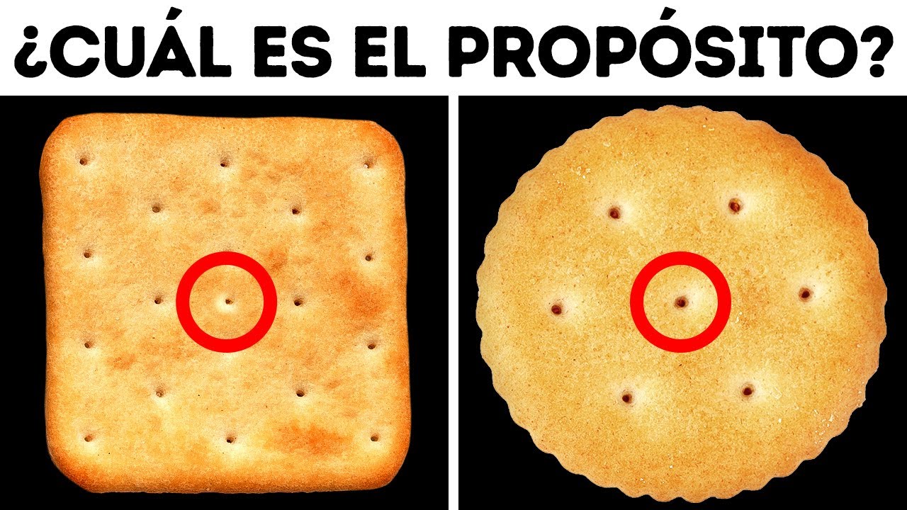 Por qu las galletas tienen pequeos agujeros y otros 74 datos que no conocas