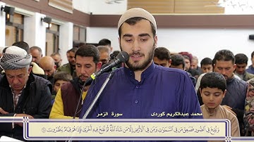 عشائية من سورة الزمر " محمد عبدالكريم الكردي