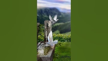 تلاوة جميلة ❤ خاشعة ❤ أكتب شيء تؤجر عليه 🍃🌹