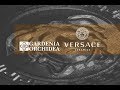 Gardenia Orchidea и Versace: новинки Cersaie 2019