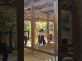 Bow and arrow Demonstration in Nara Park Japan 3/1/26