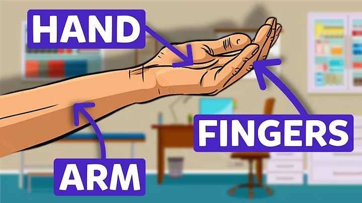 Learn Body Parts with Flash Cards!