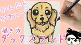 犬のイラスト 可愛い ゴールデンレトリバーの子犬の描き方 Youtube