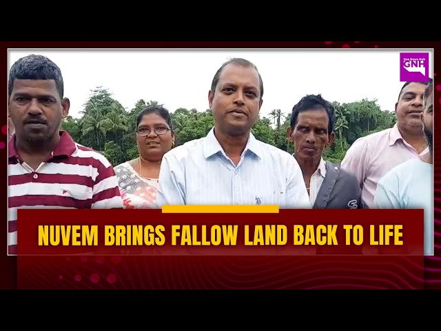 Nuvem Farmers Revive 4.5 Lakh Sq Metres of Fallow Land