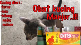 Obat Kucing Sakit karna Diare...