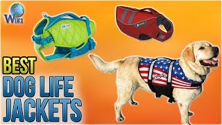 Updated ranking ►► https://wiki.ezvid.com/best-dog-life-jackets
disclaimer: these choices may be out of date. you need to go
wiki.ezvid.com see the mos...