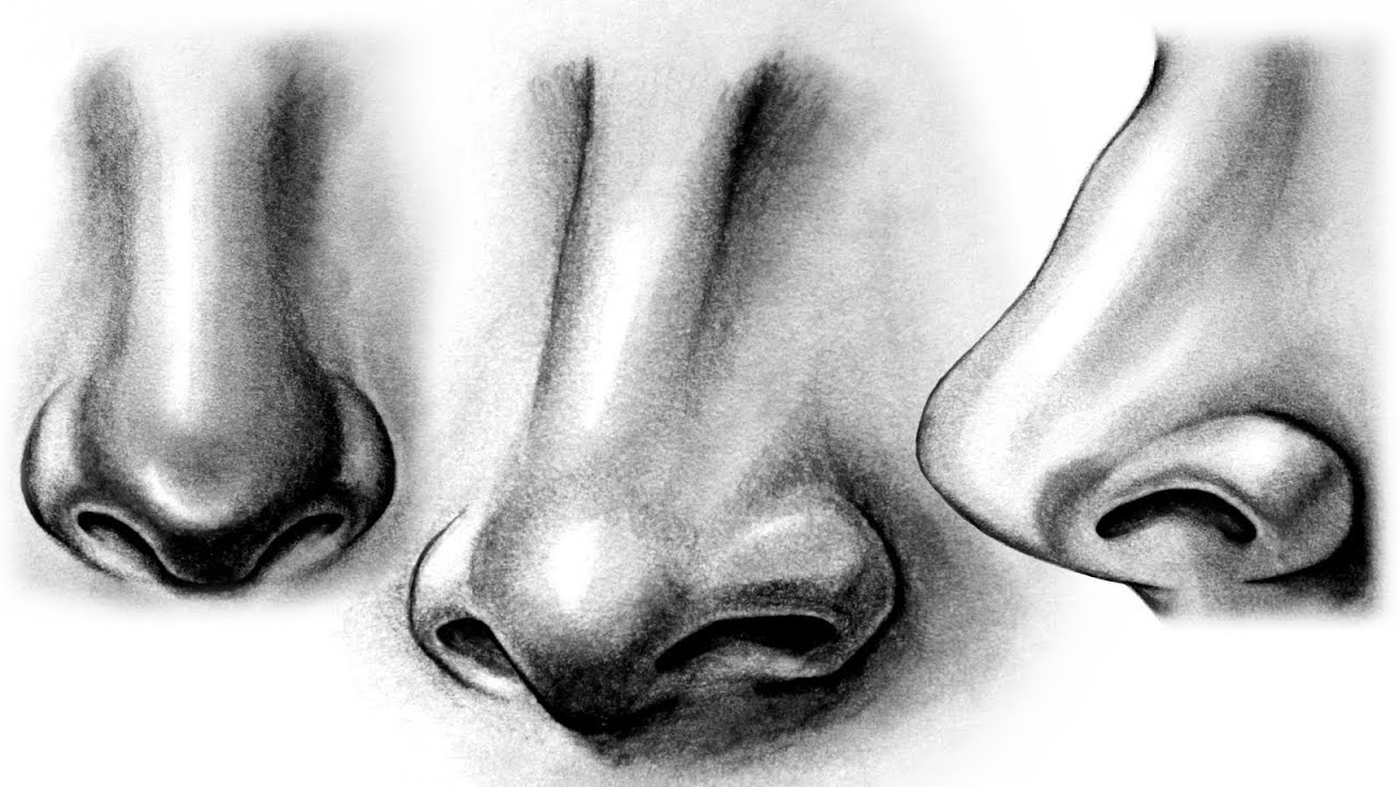 how to draw a realistic human nose