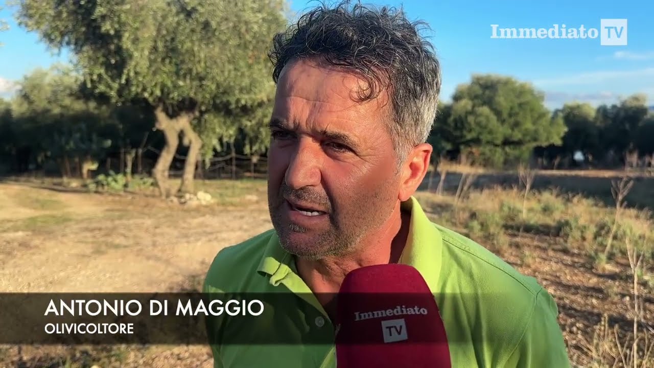 GARGANO, ALLARME XYLELLA