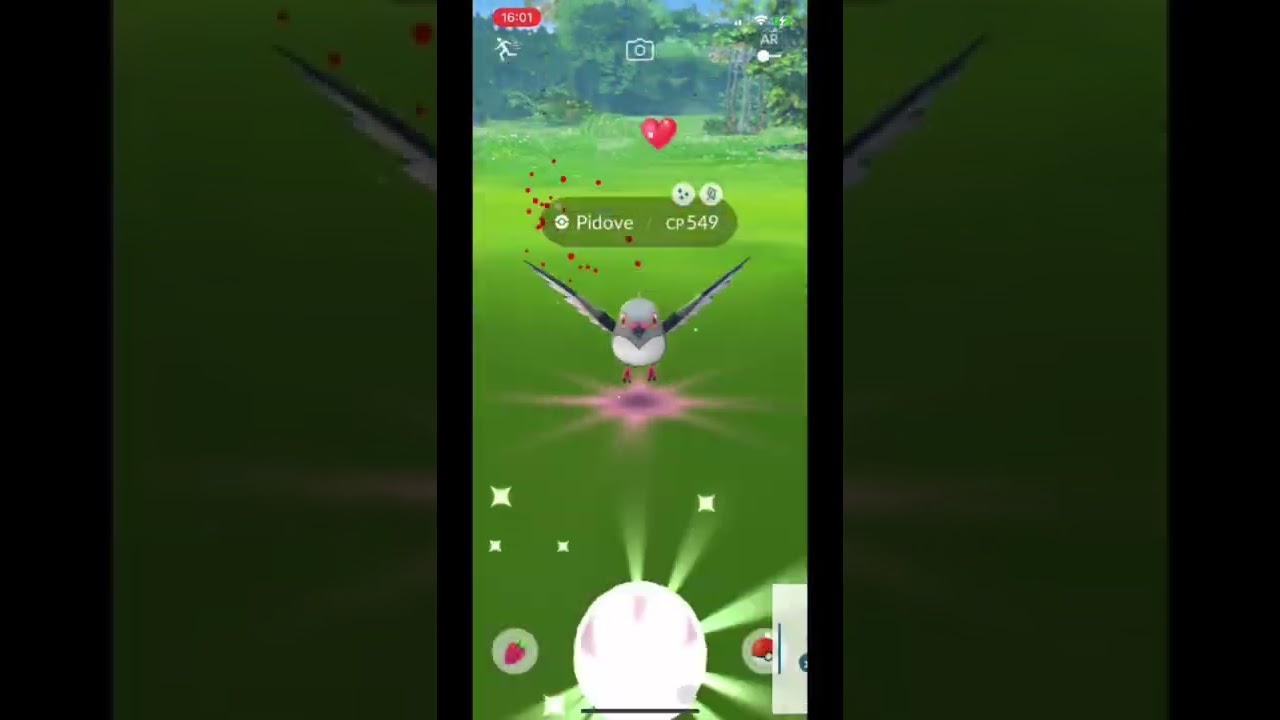 Found A Shiny Pidove In Pokémon Go 