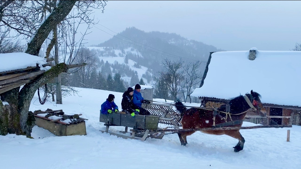 Love and Peace in a Carpathian Village 🕯️🥟🏔️| Winter Life of a Big Family in the Mountains