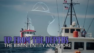 “Up From the Depths: The Bimini Entity and More” | Paranormal Stories