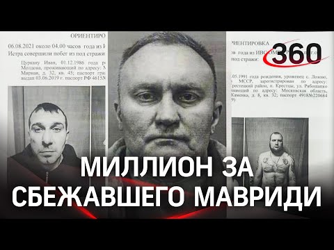 Миллион за Мавриди дадут в МВД - сбежавшим могли помочь сотрудники ФСИН, двое задержаны