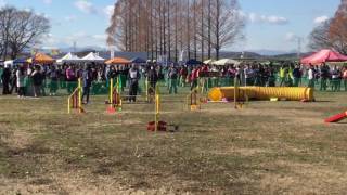 ロッティAG2 20161217 ST吉見