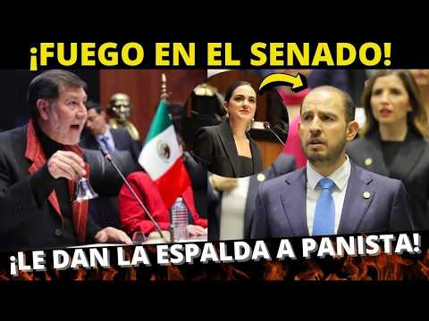 NOROÑA TUNDE a PANISTAS por NECEDADES de MARKO CORTÉS
