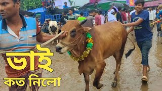 Bhai Koto Nilo? Gabtoli Gorur Haat ) 2023 - Part 7 | Qurbani Cow Price in Bangladesh