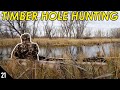 Hunting a HIDDEN Timber Hole (Unexpected) | Public Land Duck Hunting 2019