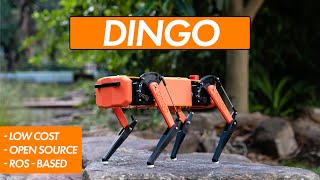 The Dingo | A Low Cost, OpenSource Robot Quadruped