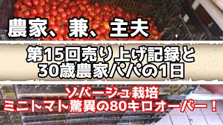 【第15回売り上げ】ミニトマト驚異の80キロオーバー