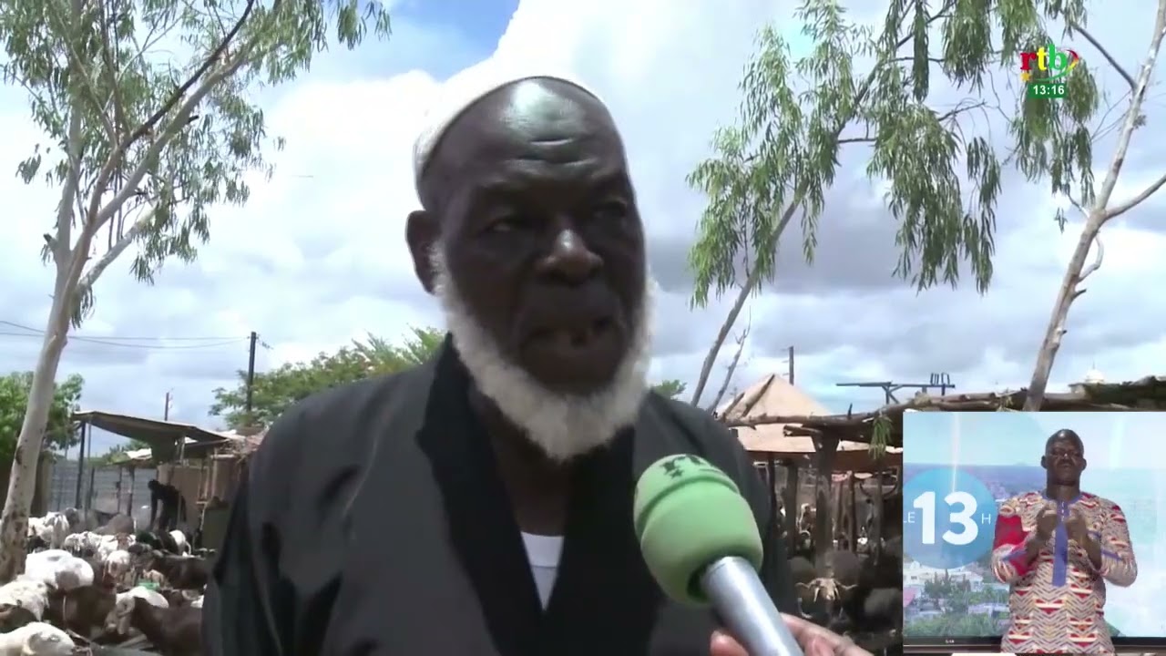 Rtb - Tabaski 2023 : zoom sur les prix des moutons