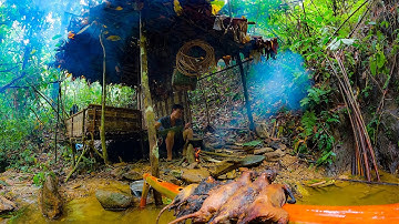 #16 Sinh Tồn Trong Rừng, Bội Thu Thịt Rừng| Thợ Rừng Núi